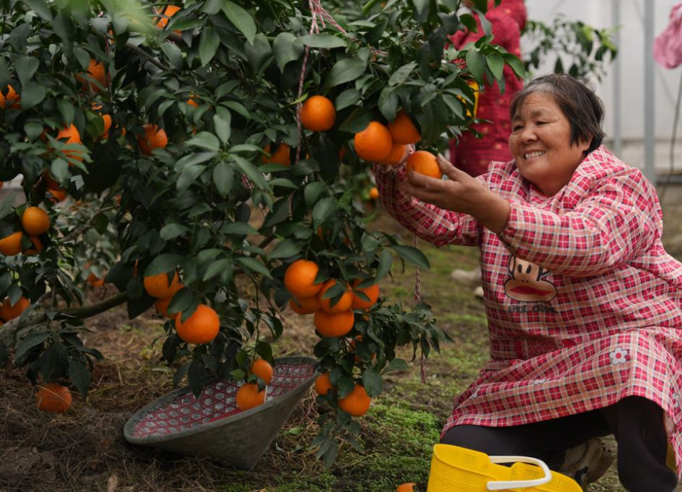 低温冷冻消融手术系统获批上市打破国外厂商垄断局面(图1) 低温冷冻消融手术系统获批上市打破国外厂商垄断局面(图1)