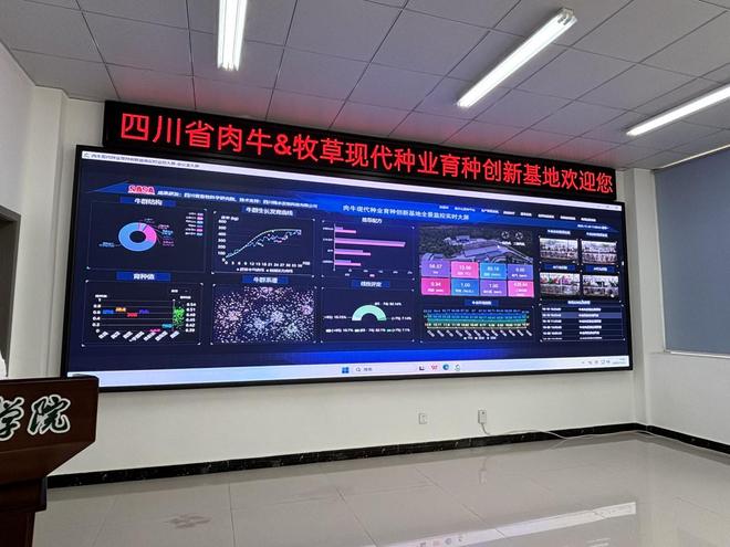 四川省肉牛牧草现代种业育种创新基地从实验室到牧场的育种突破(图3) 四川省肉牛牧草现代种业育种创新基地从实验室到牧场的育种突破(图3)